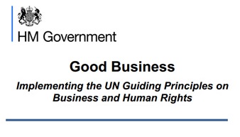 UN principles guidelines